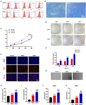 Human Decidual Mesenchymal Stem Cells Obtained From Early Pregnancy Improve Cardiac Revascularization Postinfarction by Activating Ornithine Metabolism